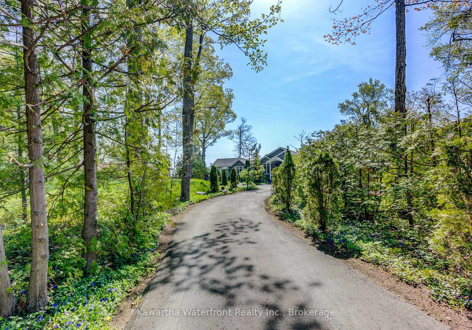 48-maple-avenue-kawartha-lakes-ontario-x13175038