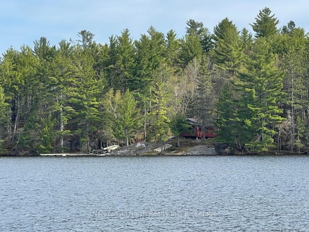 boat-access-on-mason-island-french-river-ontario-x13175960