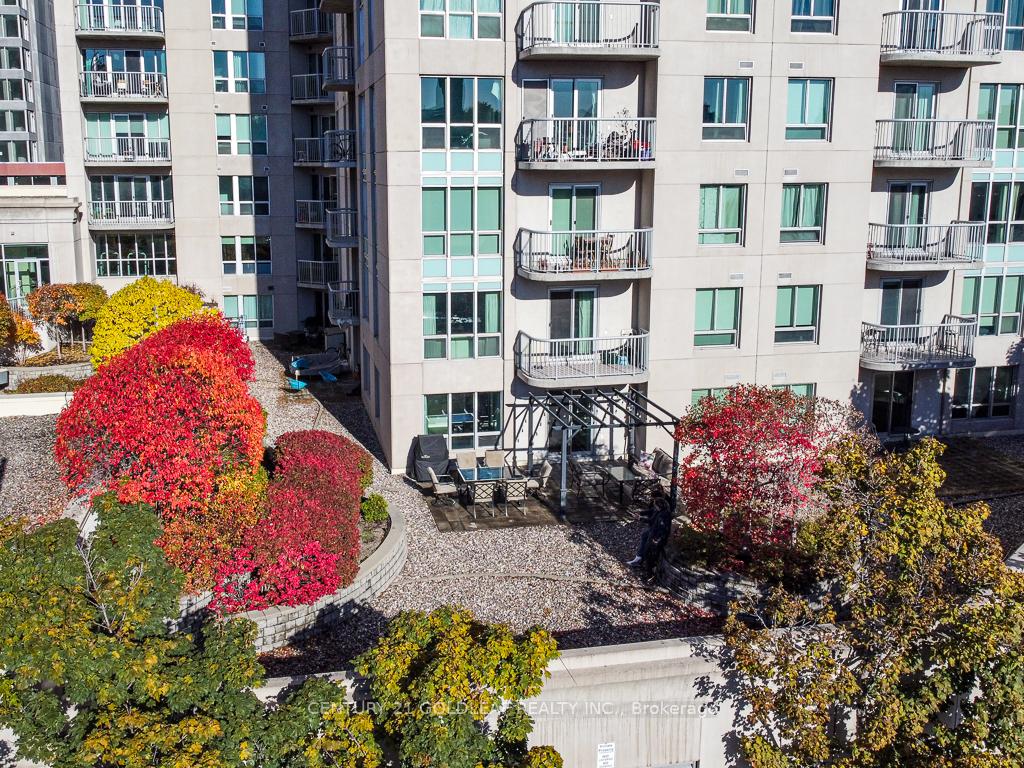 234-rideau-street-ottawa-ontario-x13176244