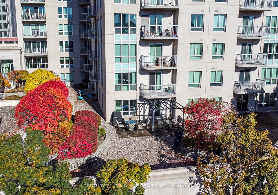 234-rideau-street-ottawa-ontario-x13176244