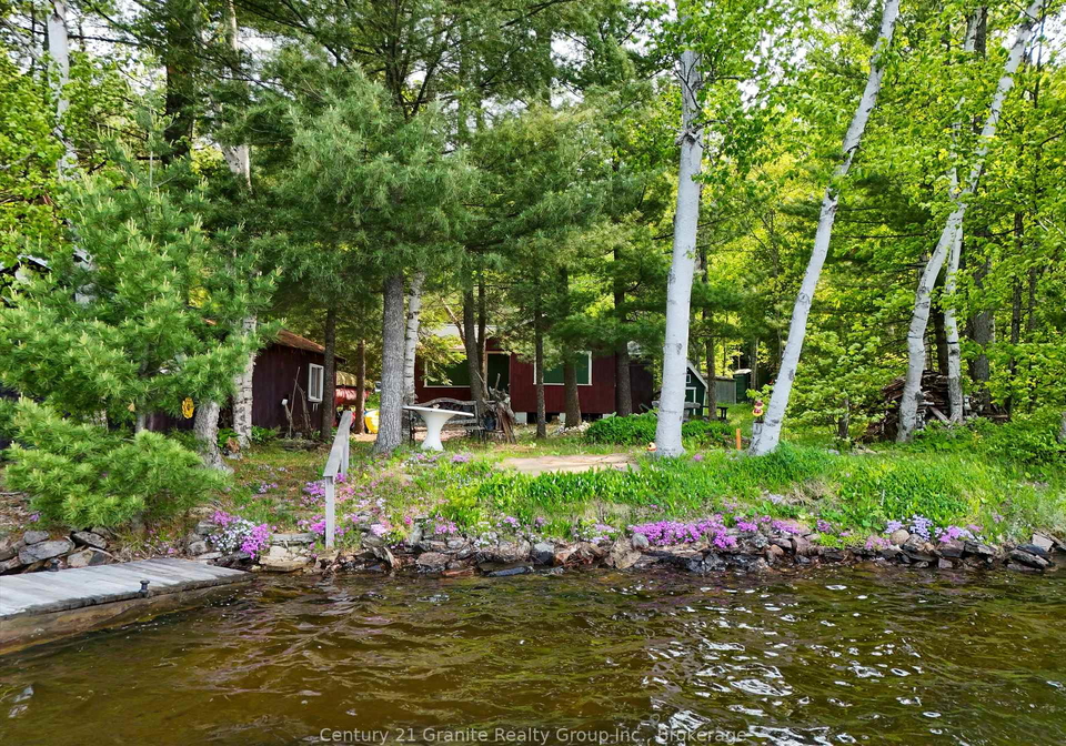 1141-kanawa-lane-algonquin-highlands-ontario-x13176846