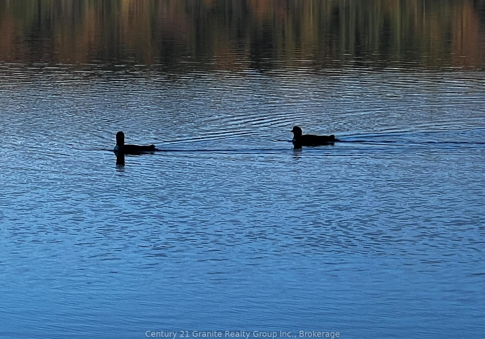 1141-kanawa-lane-algonquin-highlands-ontario-x13176846