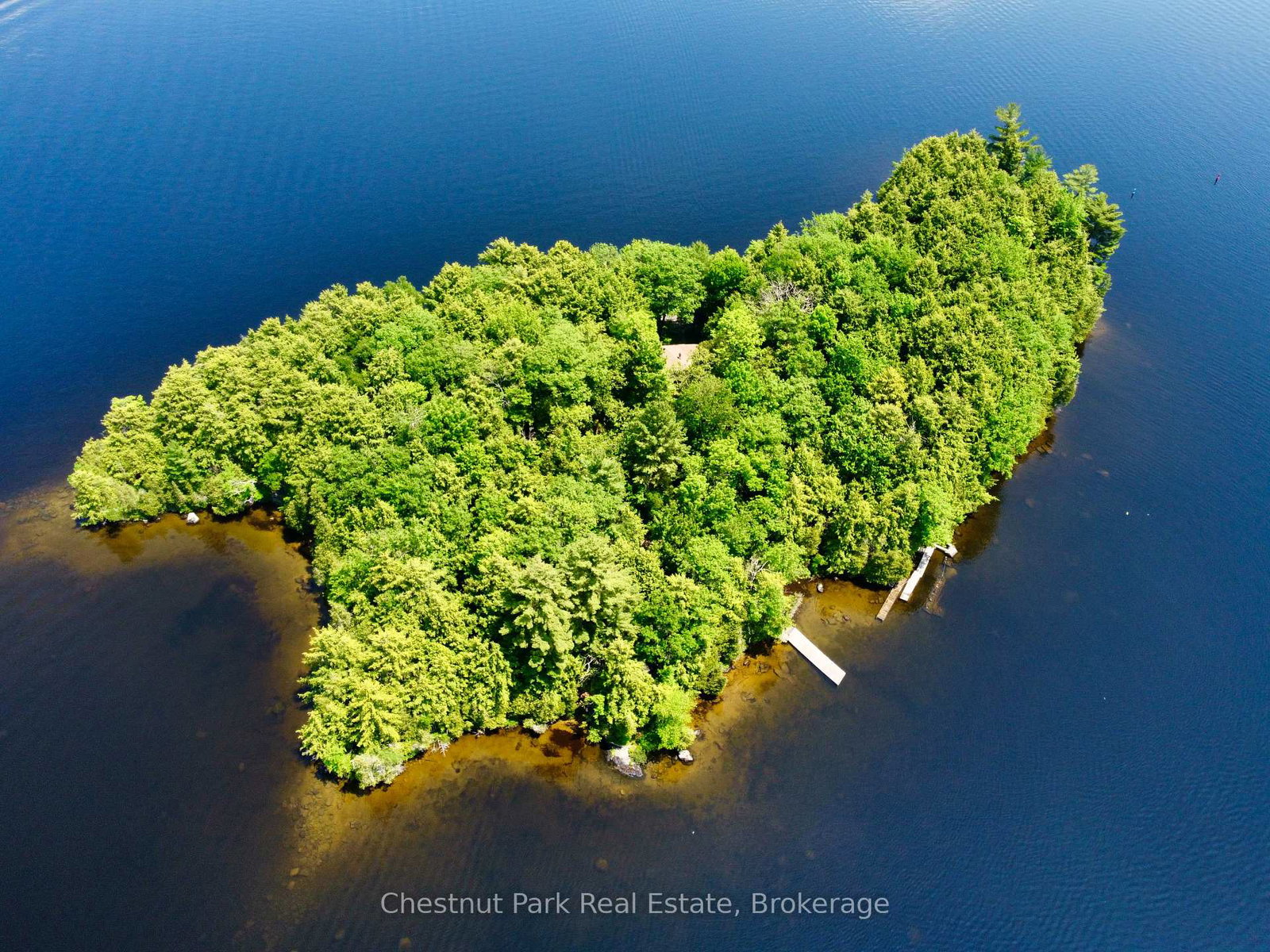 1-cedar-island-muskoka-lakes-ontario-x13190574