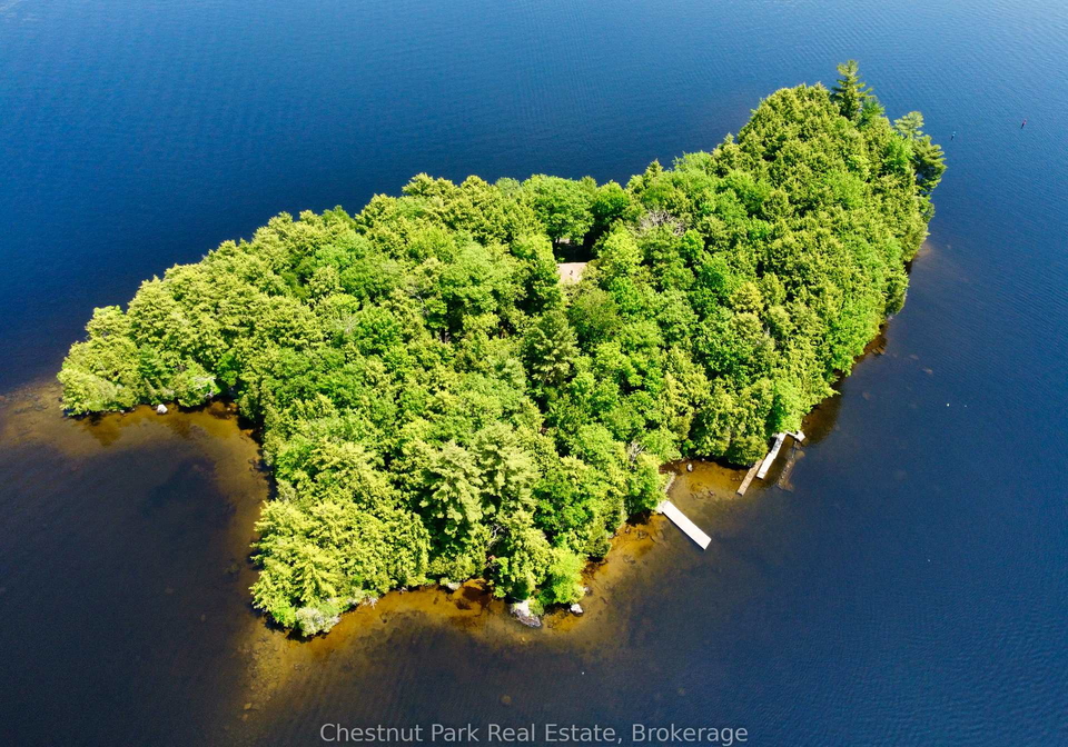 1-cedar-island-muskoka-lakes-ontario-x13190574