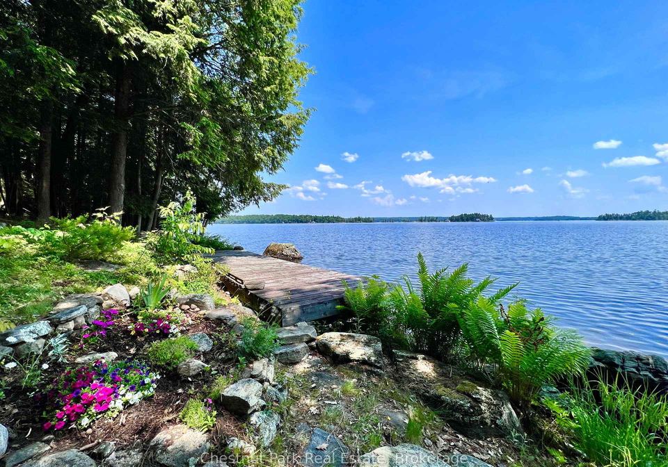 1-cedar-island-muskoka-lakes-ontario-x13190574