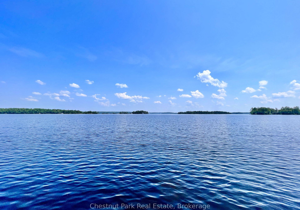 1-cedar-island-muskoka-lakes-ontario-x13190574