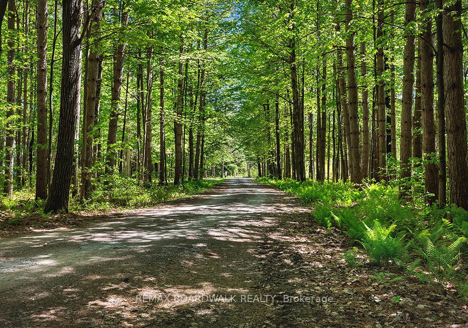 1439-lacroix-road-clarence-rockland-ontario-x13194030