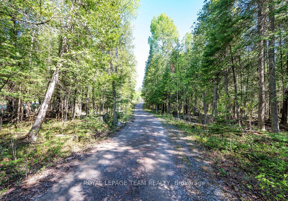 41-harrison-trail-greater-madawaska-ontario-x13197580