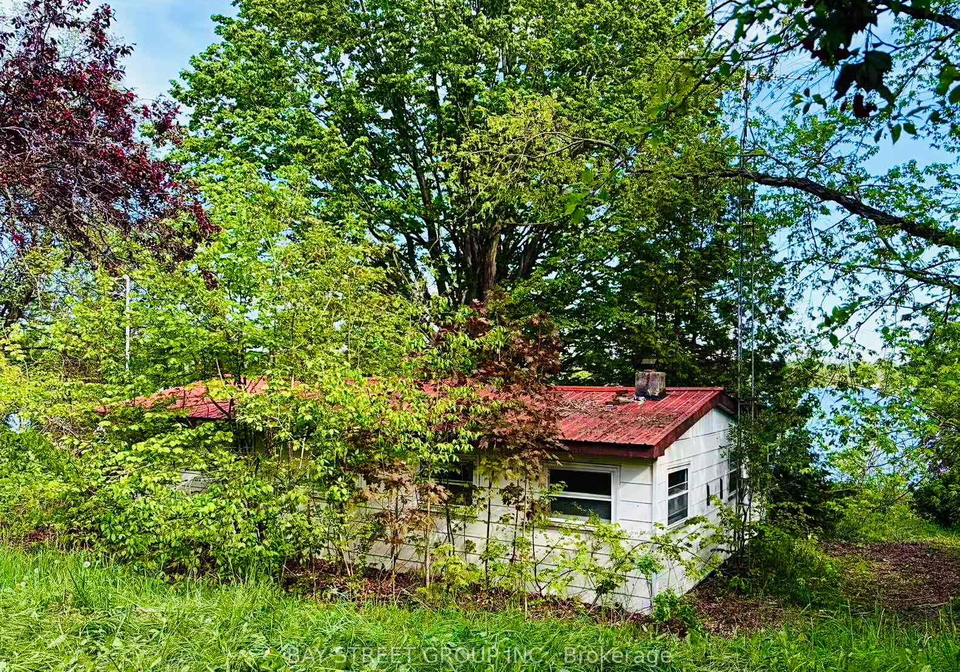 1288-portage-road-kawartha-lakes-ontario-x13201596