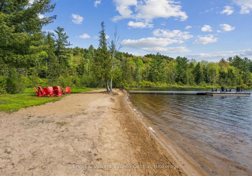 1823-livingstone-lake-road-algonquin-highlands-ontario-x13205874