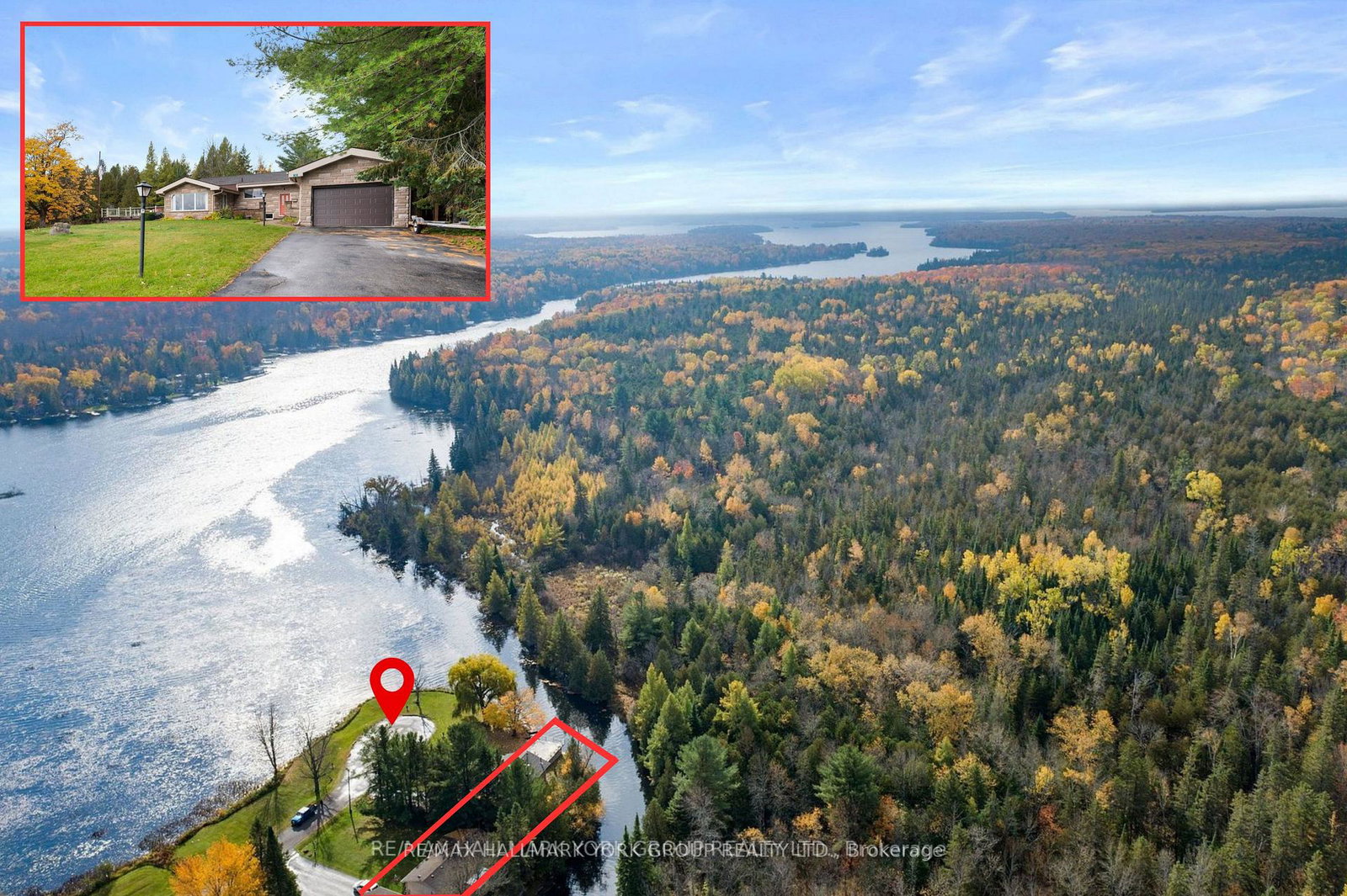 102-albert-street-kawartha-lakes-ontario-x13208096