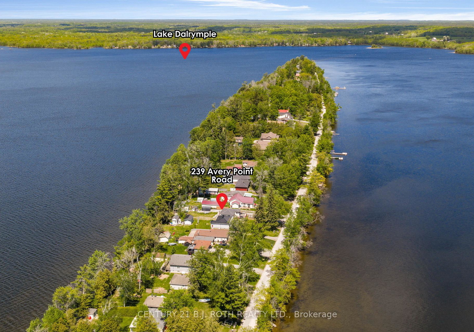 239-avery-point-road-kawartha-lakes-ontario-x13210372