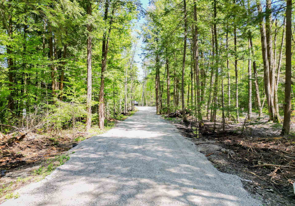 1017-davis-drive-gravenhurst-ontario-x13212286