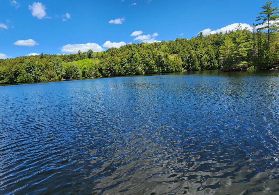 3149-limberlost-road-lake-of-bays-ontario-x13212434