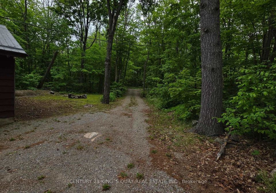 214-lakeview-lane-tweed-ontario-x13213564