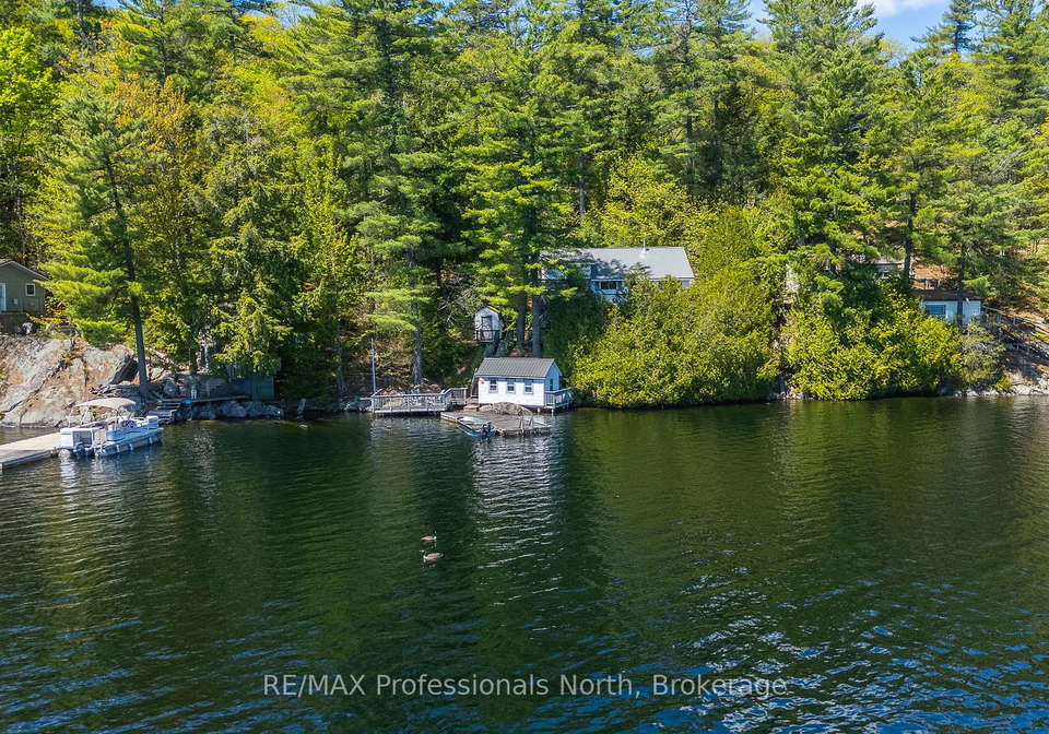 10167-little-hawk-west-sho-algonquin-highlands-ontario-x13214778