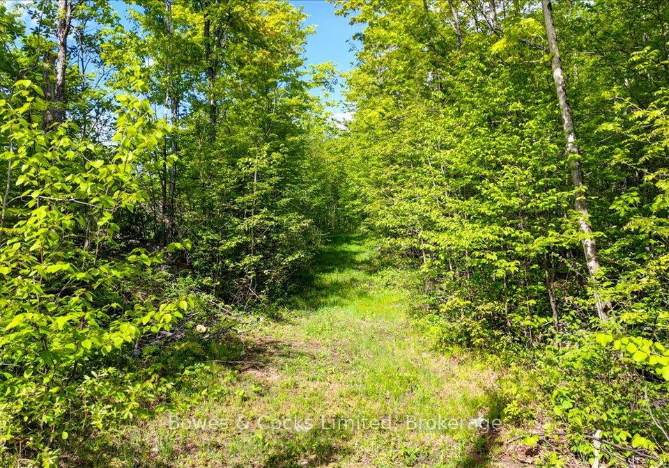 3463-county-road-44-havelock-belmont-methuen-ontario-x13215344