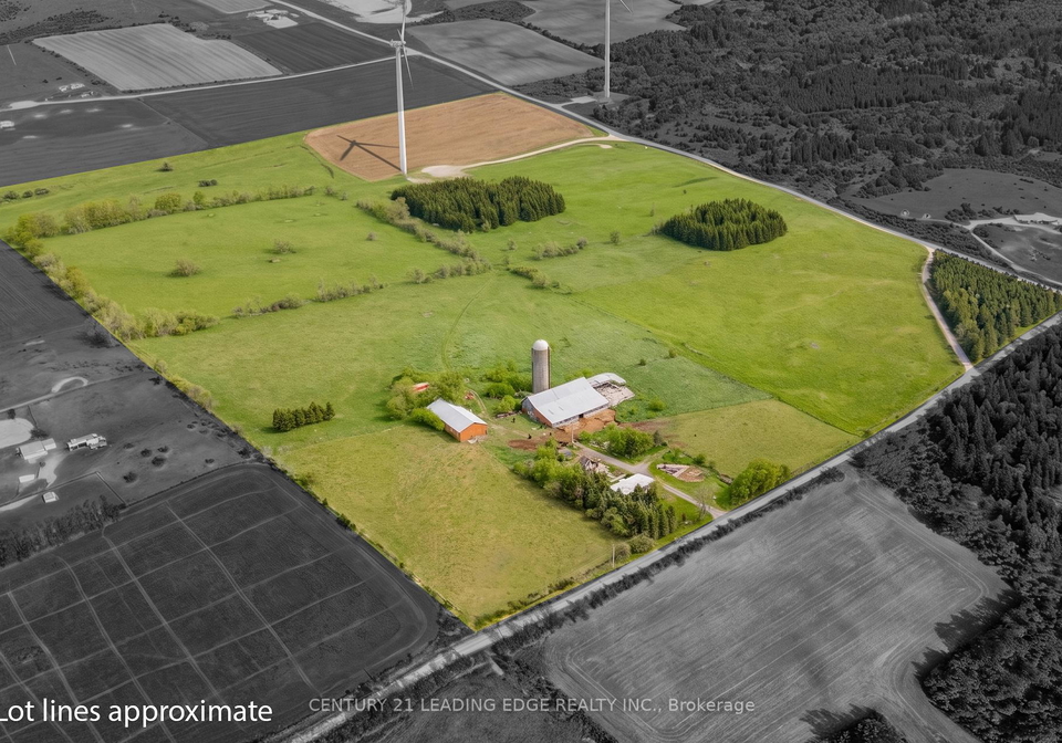 801-ballyduff-road-kawartha-lakes-ontario-x13215570