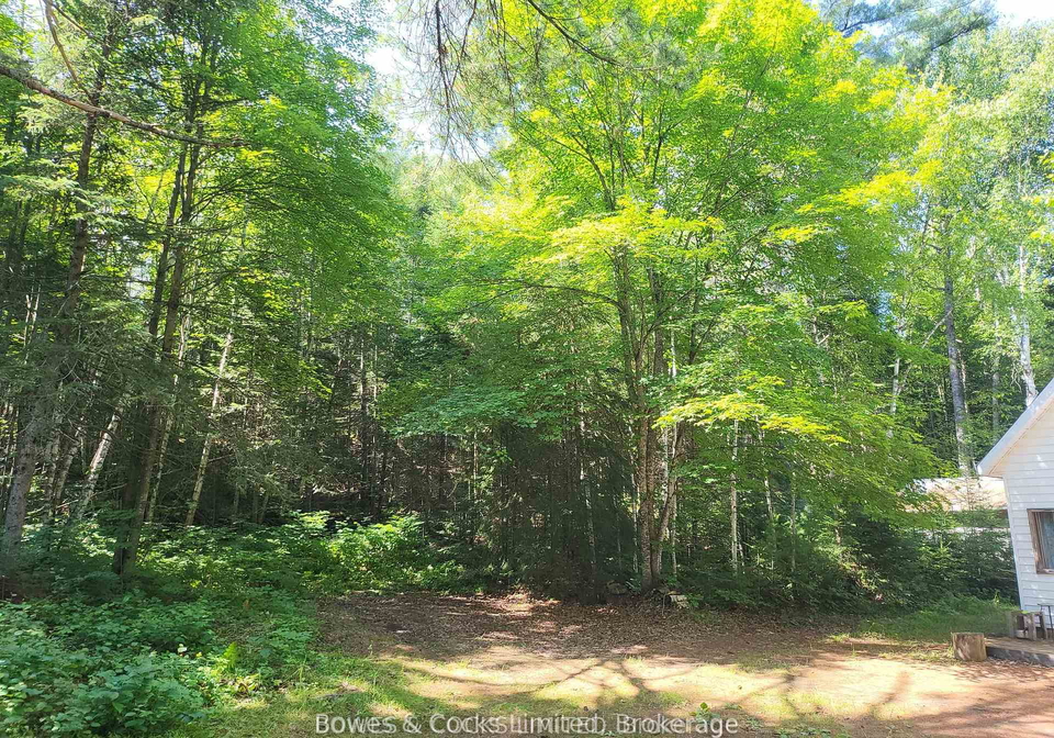 24-robinson-road-hastings-highlands-ontario-x13216278