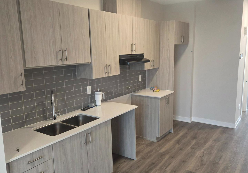 229-lamarche-avenue-ottawa-ontario-x13216746