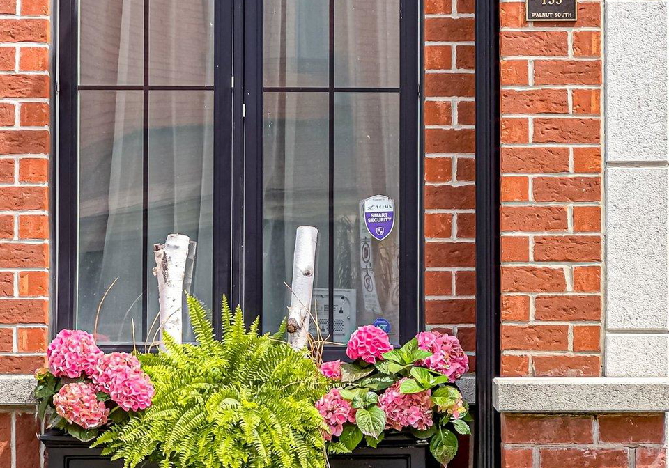 155-walnut-street-s-hamilton-ontario-x13216822