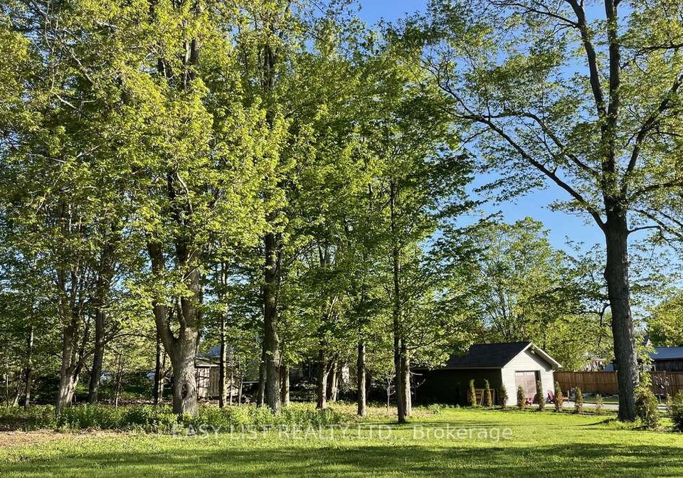 28-peel-street-w-mapleton-ontario-x13216860