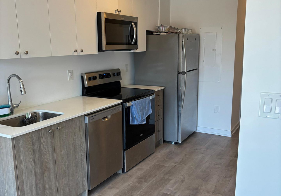 40-palace-street-kitchener-ontario-x13216972