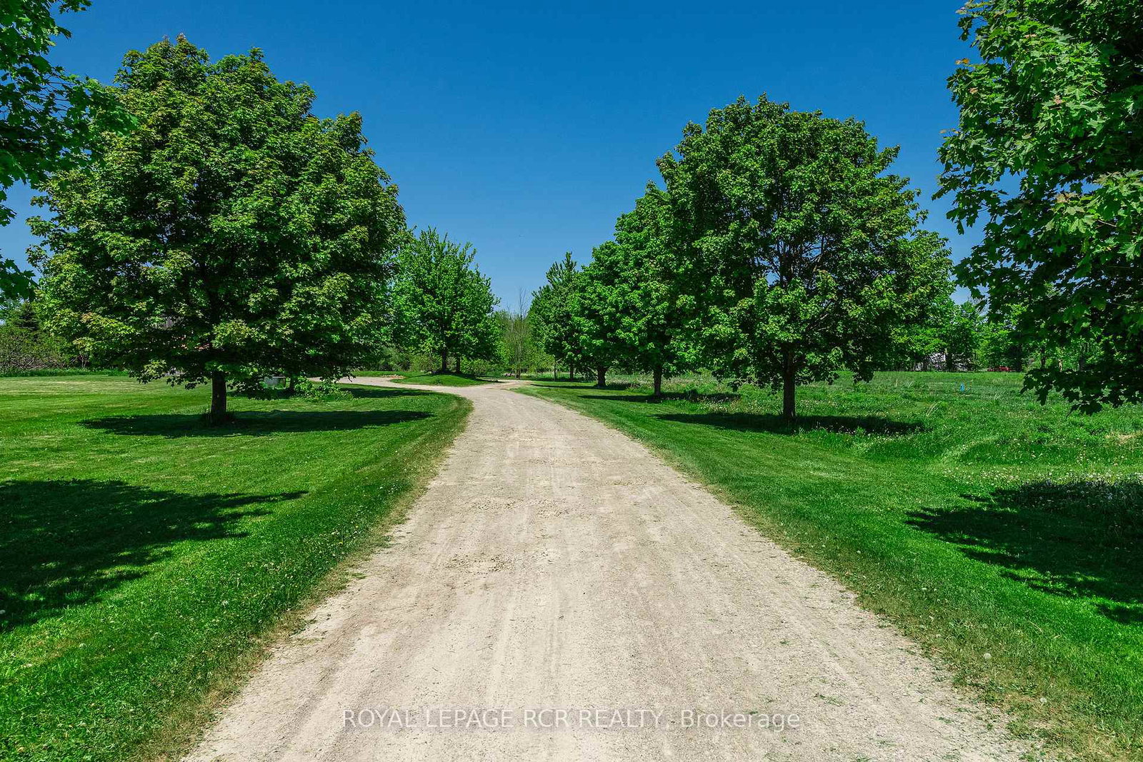 428-main-street-w-shelburne-ontario-x13217398