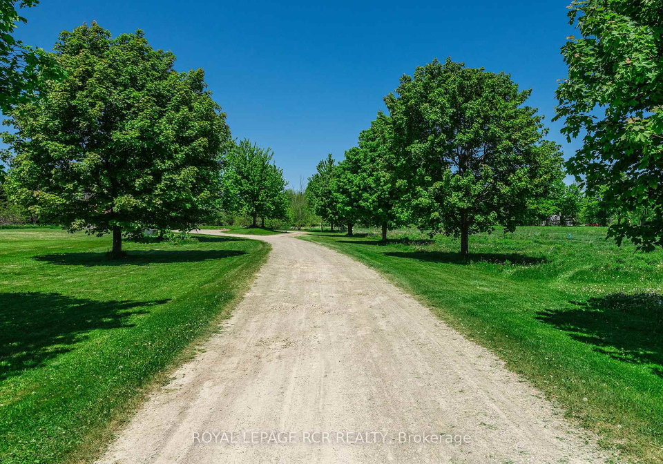 428-main-street-w-shelburne-ontario-x13217398