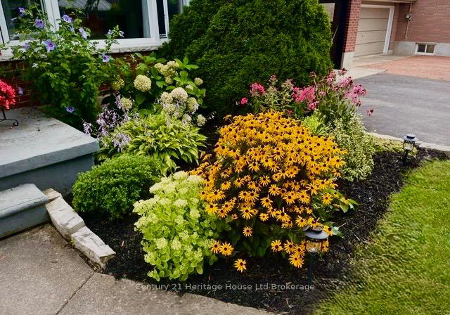 219-brock-street-zorra-ontario-x13217484