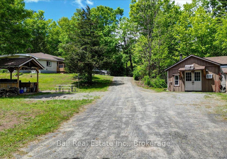 20-art-bott-road-north-kawartha-ontario-x13221070
