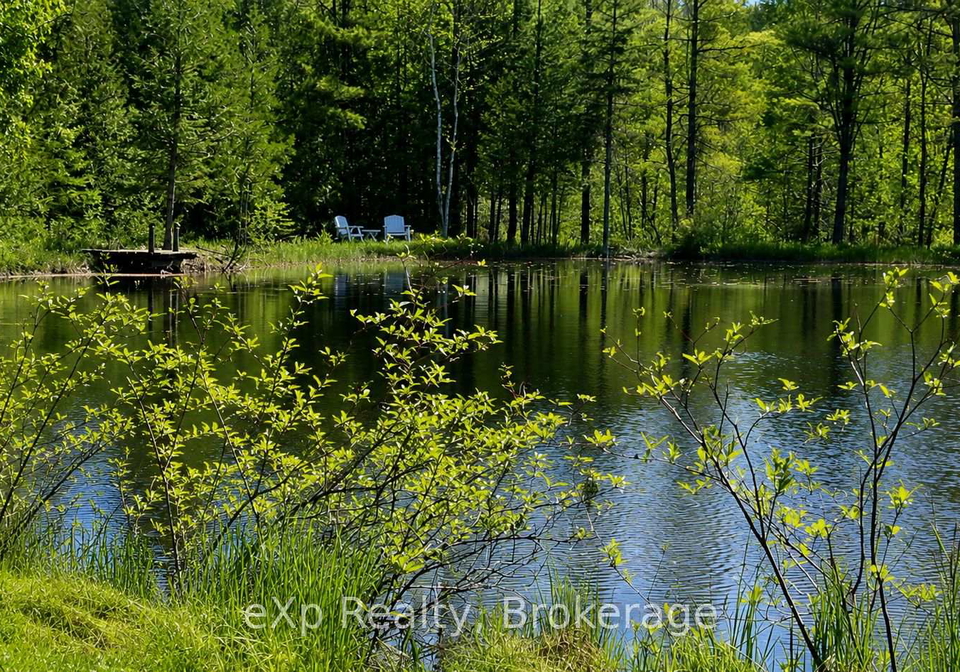 424390-concession-6-concession-west-grey-ontario-x13222378