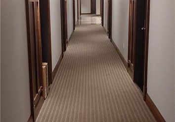 238-besserer-street-ottawa-ontario-x13225994