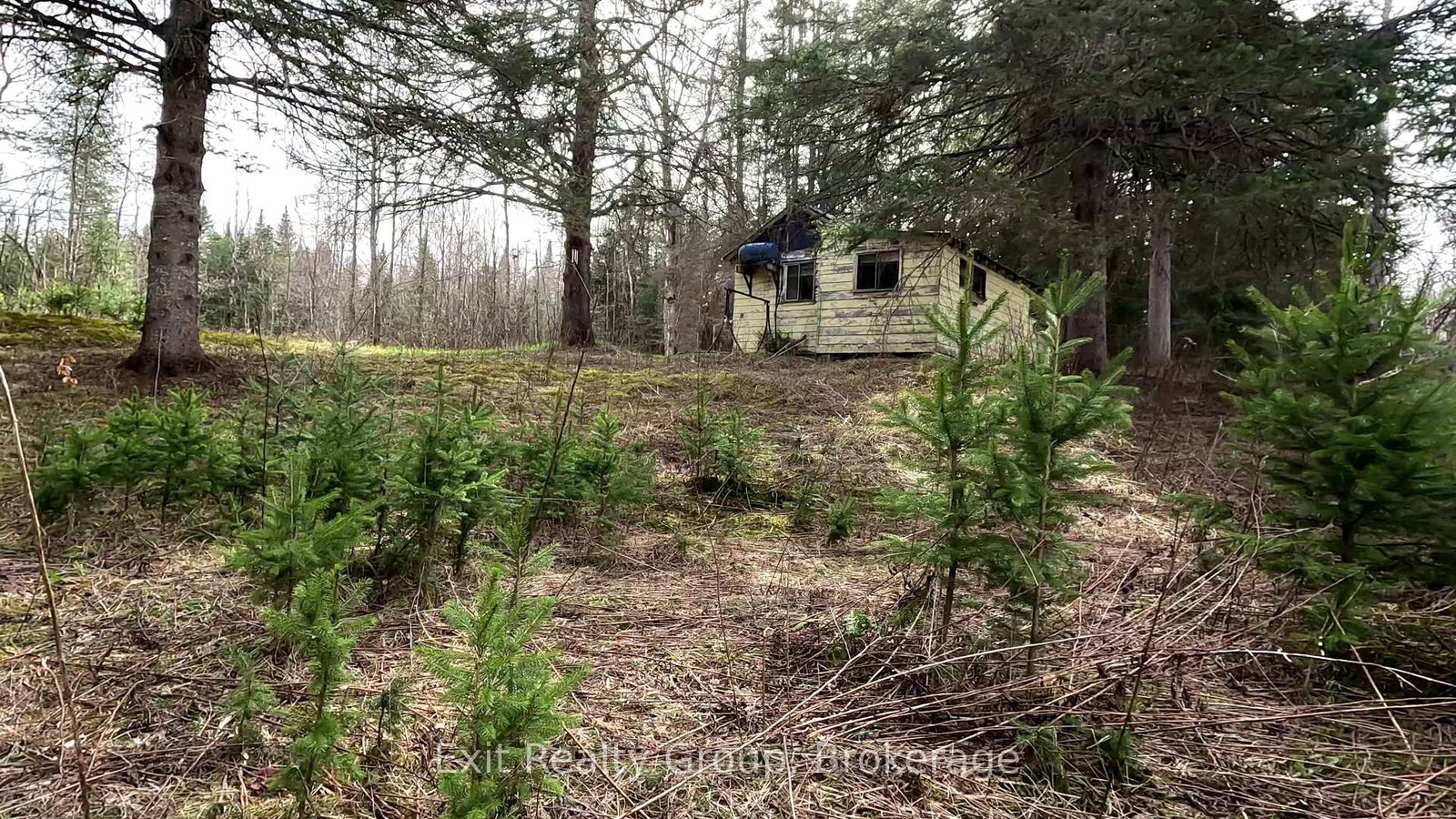 3606-county-road-620-north-kawartha-ontario-x13228834