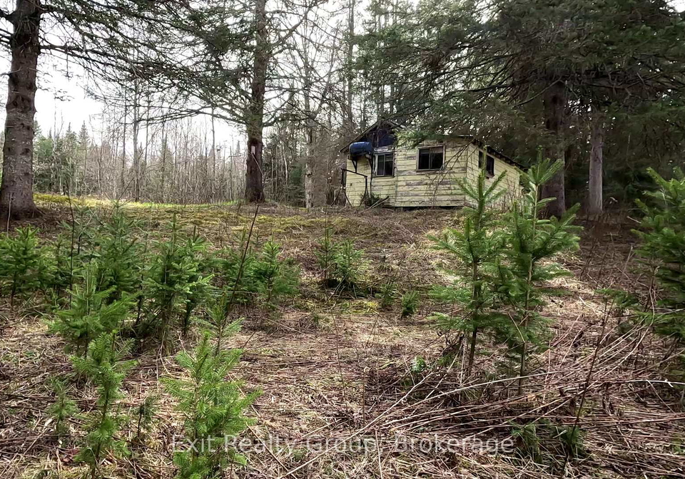 3606-county-road-620-north-kawartha-ontario-x13228834