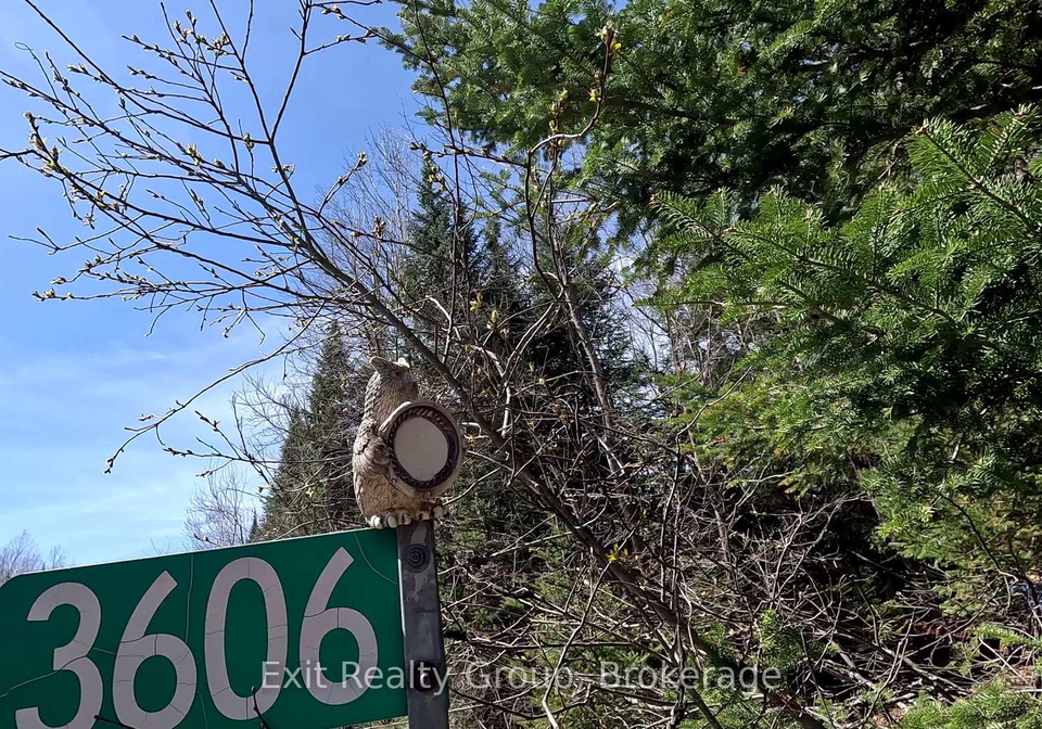 3606-county-road-620-north-kawartha-ontario-x13228834