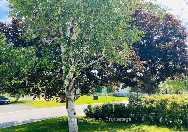 116-nicholas-street-quinte-west-ontario-x13229406