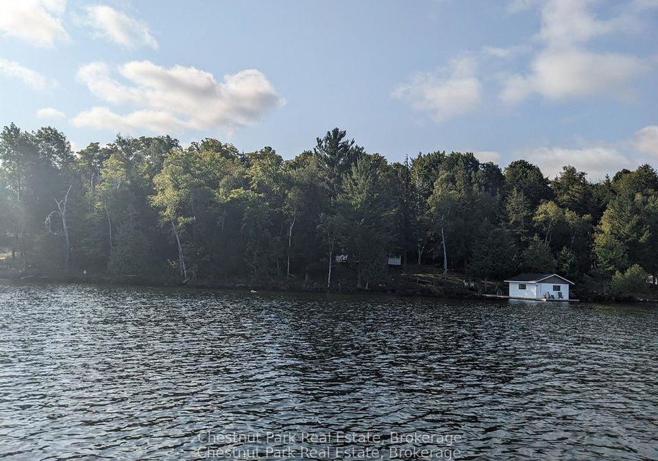 76-tobin-island-muskoka-lakes-ontario-x13231168