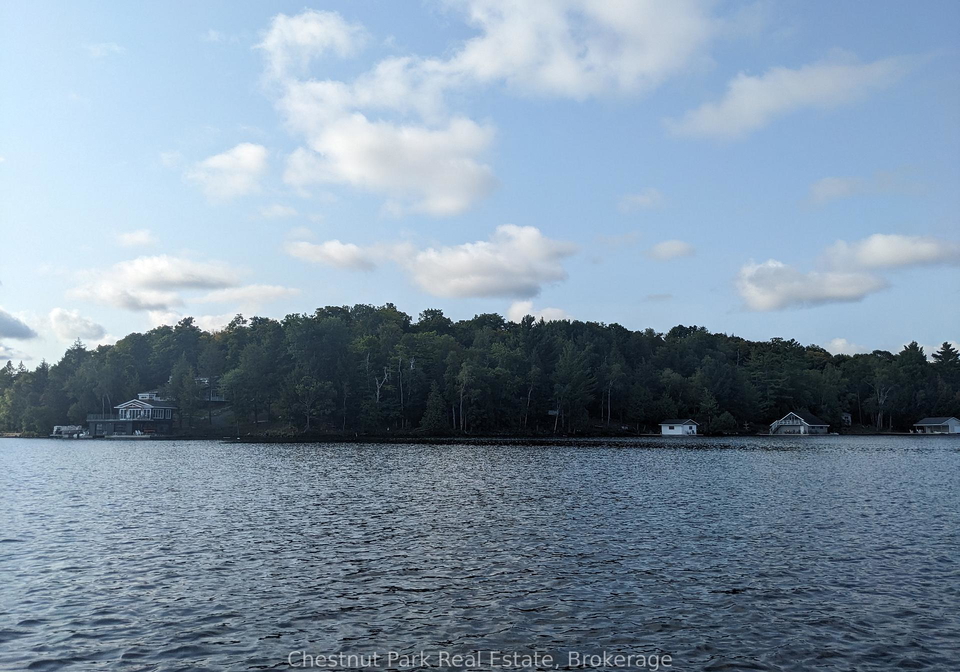 76-tobin-island-muskoka-lakes-ontario-x13231168