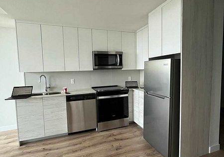 60-frederick-street-kitchener-ontario-x13233236