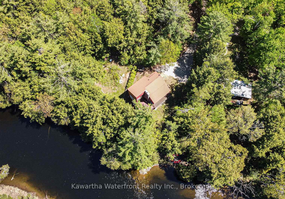 85-nevison-drive-kawartha-lakes-ontario-x13233318