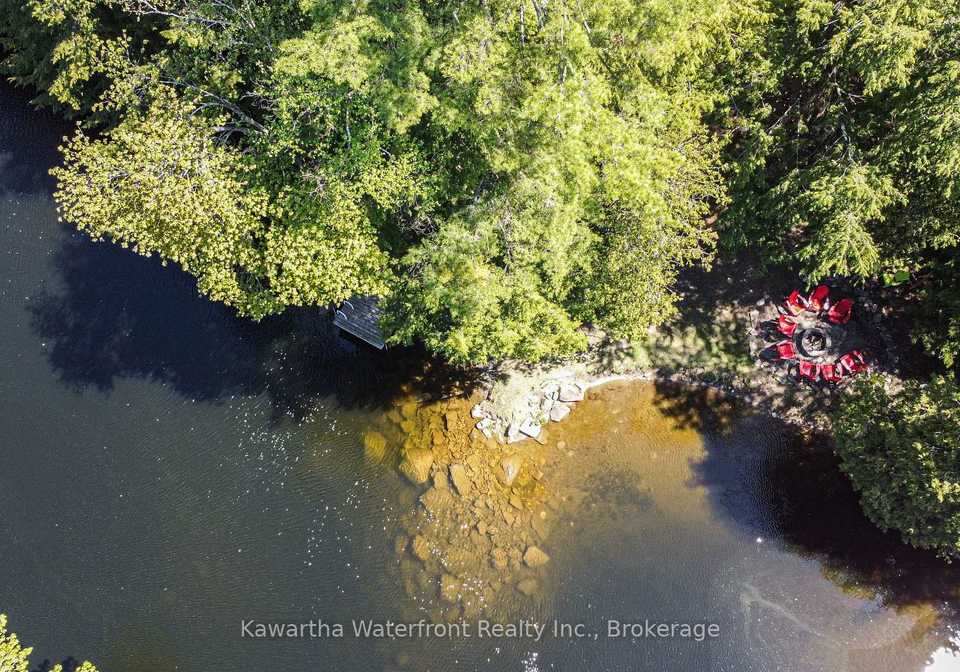 85-nevison-drive-kawartha-lakes-ontario-x13233318