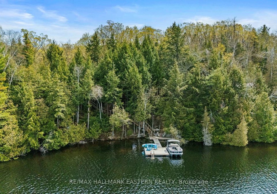 50-fire-route-328a-trent-lakes-ontario-x13233548