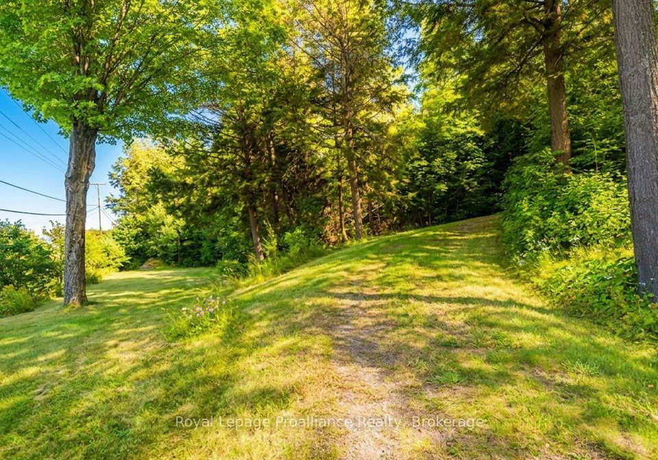 17100-highway-41-addington-highlands-ontario-x13236222