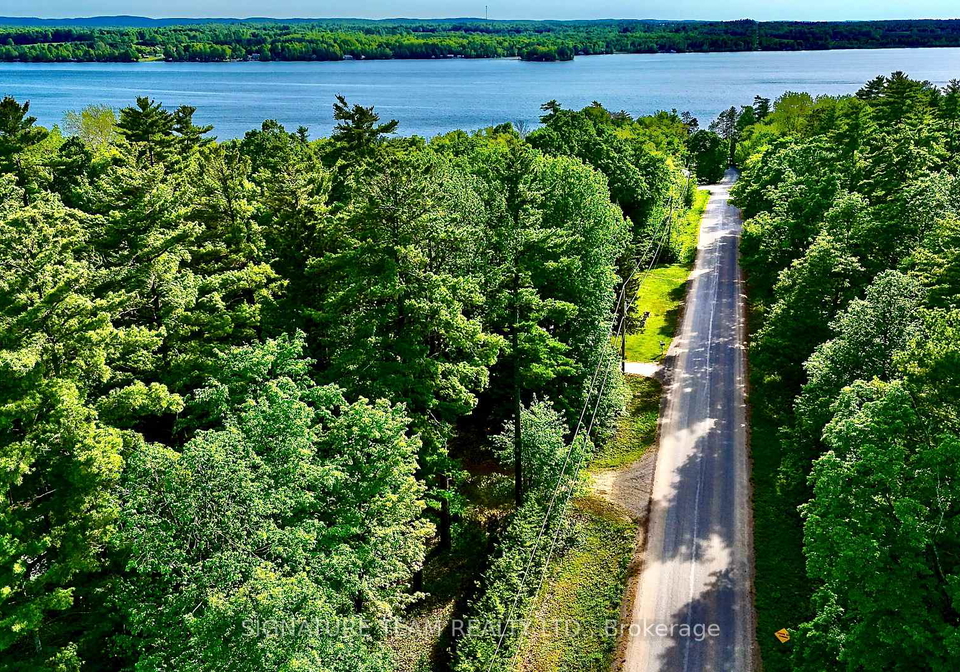 491-jessup-road-north-algona-wilberforce-ontario-x13236638