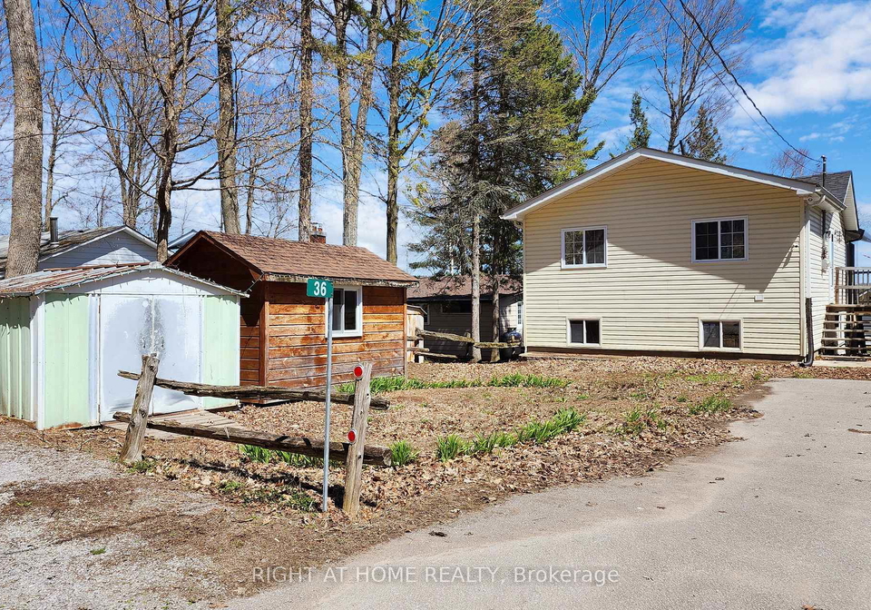 36-hills-road-kawartha-lakes-ontario-x13238570