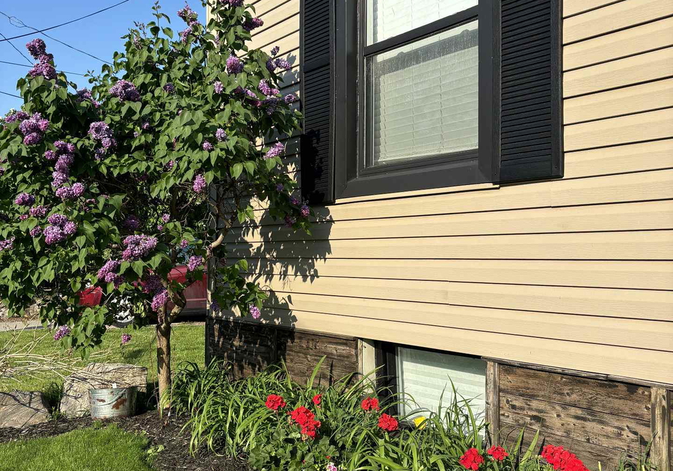 381-elizabeth-street-grimsby-ontario-x13241338