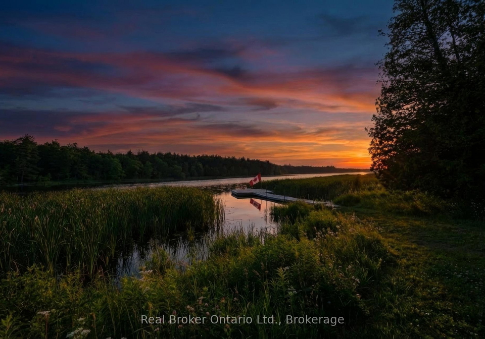 135-camp-lane-tweed-ontario-x13242550