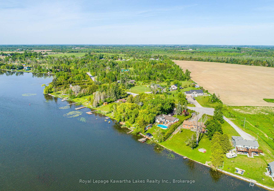 244-oreilly-lane-kawartha-lakes-ontario-x13243214