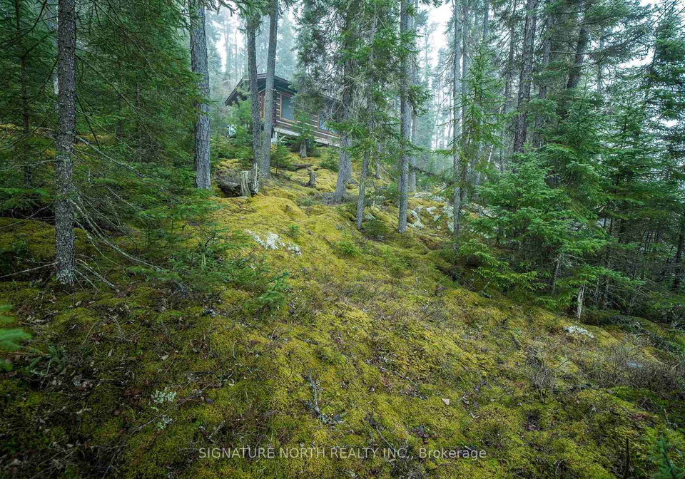 1-erdmann-island-rainy-river-remote-area-ontario-x13245322